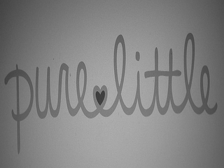 PURE LITTLE logo