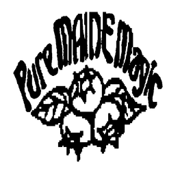 PURE MAINE MAGIC WWW.GYPSYWINDJAM.COM logo