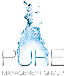 PURE MANAGEMENT GROUP logo