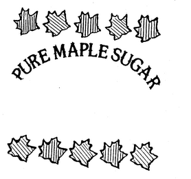 PURE MAPLE SUGAR logo