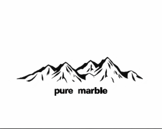 PURE MARBLE logo