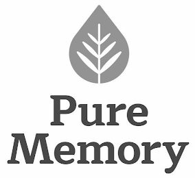 PURE MEMORY logo