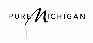 PURE MICHIGAN logo