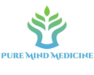 PURE MIND MEDICINE logo
