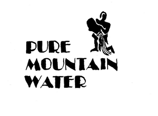 PURE MOUNTAIN WATER logo