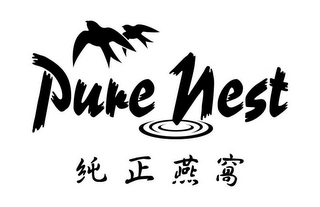 PURE NEST logo
