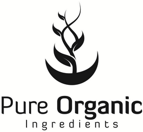 PURE ORGANIC INGREDIENTS logo