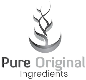 PURE ORIGINAL INGREDIENTS logo