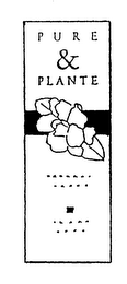 PURE & PLANTE logo
