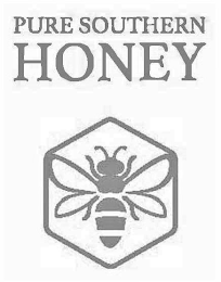 PURE SOUTHERN HONEY logo