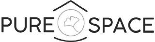 PURE SPACE logo