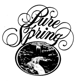 PURE SPRING logo