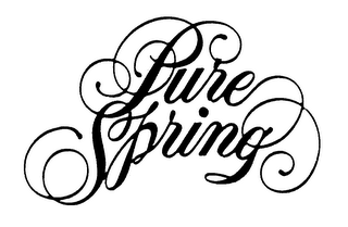 PURE SPRING logo