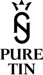 PURE TIN logo