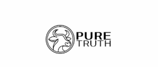 PURE TRUTH logo