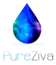 PURE ZIVA logo