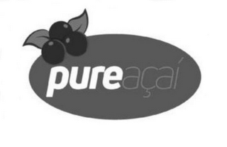 PUREAÇAÍ logo