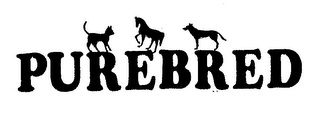 PUREBRED logo
