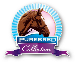 PUREBRED COLLECTION logo