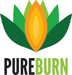 PUREBURN logo