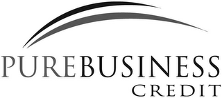 PUREBUSINESS CREDIT logo