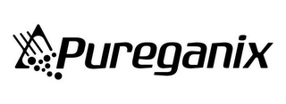 PUREGANIX logo