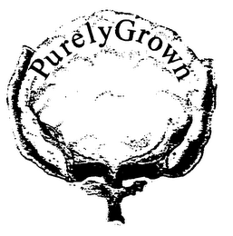 PURELYGROWN logo