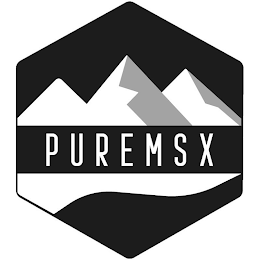PUREMSX logo