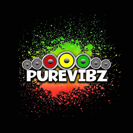 PUREVIBZ logo