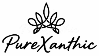 PUREXANTHIC logo