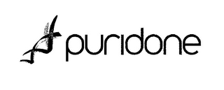 PURIDONE logo