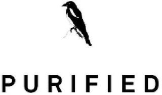 PURIFIED logo