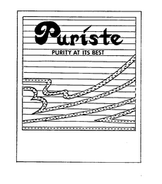 PURISTE PURITY AT ITS BEST logo