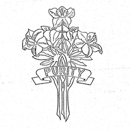 PURITY logo
