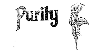 PURITY logo