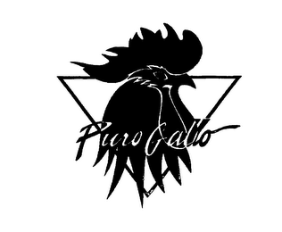 PURO GALLO logo