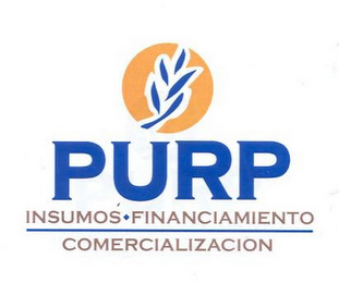 PURP INSUMOS · FINANCIAMENTO COMERCIALIZACION logo