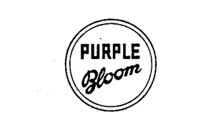 PURPLE BLOOM logo