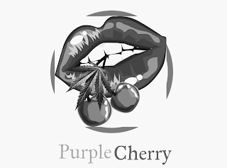 PURPLE CHERRY logo