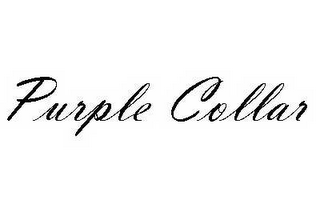 PURPLE COLLAR