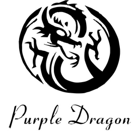 PURPLE DRAGON logo