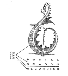 PURPLE DRAGON RECORDING logo