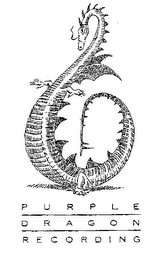 PURPLE DRAGON RECORDING logo
