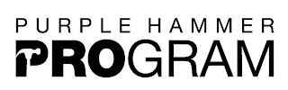 PURPLE HAMMER PROGRAM logo