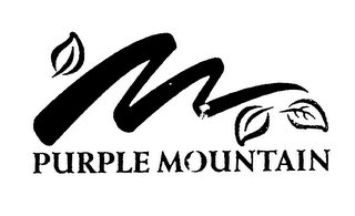 PURPLE MOUNTAIN logo