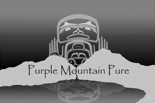 PURPLE MOUNTAIN PURE logo