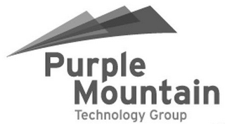PURPLE MOUNTAIN TECHNOLOGY GROUP logo