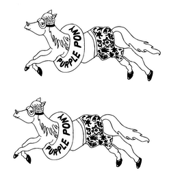 PURPLE PONY SHIRT COMPANY logo