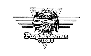 PURPLE POTAMUS VIDEO logo