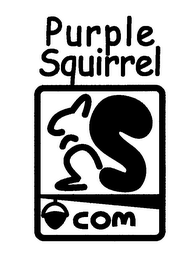 PURPLE SQUIRREL.COM logo